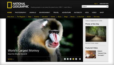 性能卓越稳定的如何攻击网站